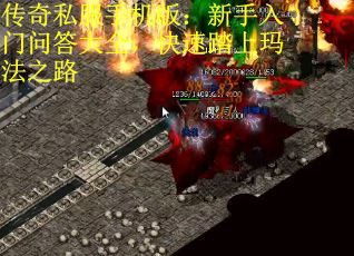传奇私服手机版：新手入门问答大全，快速踏上玛法之路