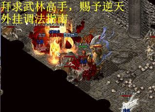 拜求武林高手，赐予逆天外挂调法指南