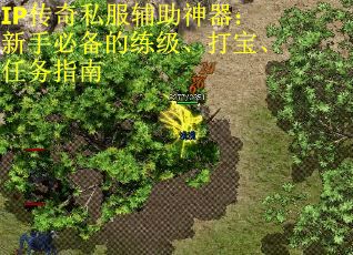 IP传奇私服辅助神器：新手必备的练级、打宝、任务指南