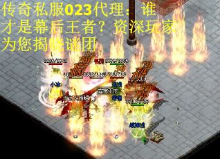 传奇私服023代理：谁才是幕后王者？资深玩家为您揭晓谜团