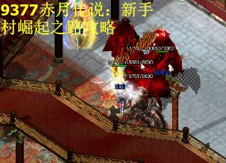 9377赤月传说：新手村崛起之路攻略