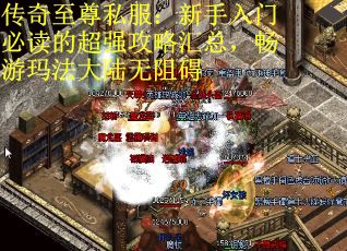 传奇至尊私服：新手入门必读的超强攻略汇总，畅游玛法大陆无阻碍