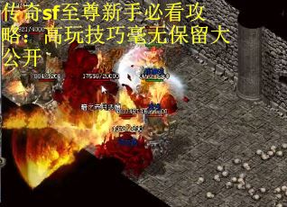 传奇sf至尊新手必看攻略：高玩技巧毫无保留大公开