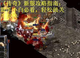 《传奇》新服攻略指南：新手小白必看，轻松破关升级快