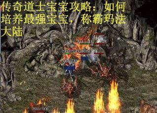 传奇道士宝宝攻略：如何培养最强宝宝，称霸玛法大陆