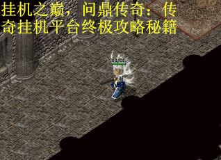 挂机之巅，问鼎传奇：传奇挂机平台终极攻略秘籍