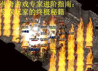 传奇游戏专家进阶指南：资深玩家的终极秘籍