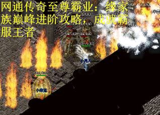 网通传奇至尊霸业：缘家族巅峰进阶攻略，成就霸服王者