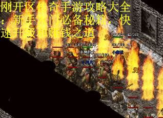 刚开区传奇手游攻略大全：新手入门必备秘籍，快速升级和赚钱之道