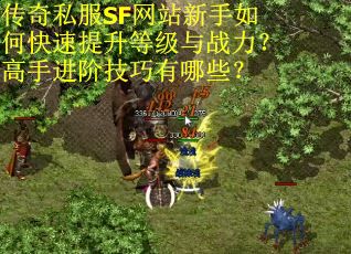 传奇私服SF网站新手如何快速提升等级与战力？高手进阶技巧有哪些？