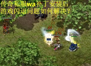 传奇私服wa补丁安装后游戏闪退问题如何解决？