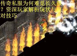 传奇私服为何难觅长久服？资深玩家解析现状与应对技巧
