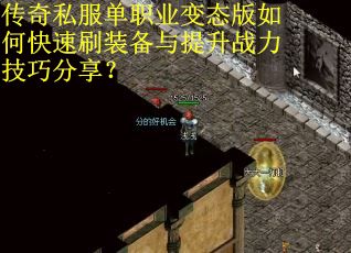 传奇私服单职业变态版如何快速刷装备与提升战力技巧分享？