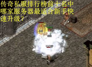 传奇私服排行榜前十名中哪家服务器最适合新手快速升级？