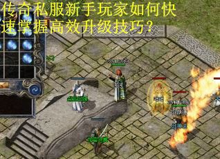 传奇私服新手玩家如何快速掌握高效升级技巧？