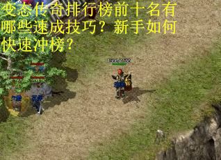 变态传奇排行榜前十名有哪些速成技巧?新手如何快速冲榜? 变态传奇排行榜前十名有哪些速成技巧?新手如何快速冲榜?