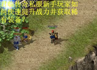 君临传奇私服新手玩家如何快速提升战力并获取稀有装备? 君临传奇私服新手玩家如何快速提升战力并获取稀有装备?