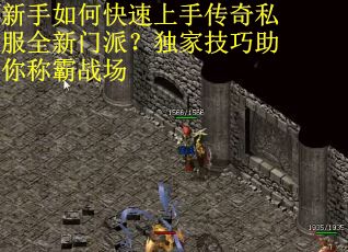 新手如何快速上手传奇私服全新门派？独家技巧助你称霸战场