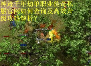 神迹千年劫单职业传奇私服官网如何查询及高效升级攻略解析? 神迹千年劫单职业传奇私服官网如何查询及高效升级攻略解析?