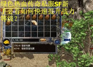 绿色热血传奇私服SF新手必看如何快速提升战力等级? 绿色热血传奇私服SF新手必看如何快速提升战力等级?