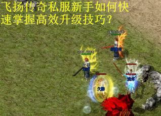 飞扬传奇私服新手如何快速掌握高效升级技巧？