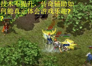 技术不提升，传奇辅助如何能真正体会游戏乐趣??