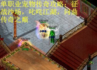 单职业宠物传奇攻略：征战沙场，叱咤江湖，问鼎传奇之巅