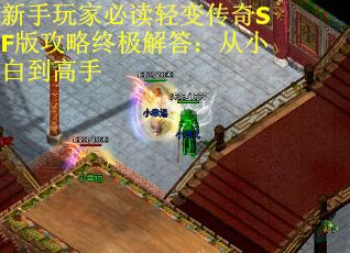 新手玩家必读轻变传奇SF版攻略终极解答：从小白到高手