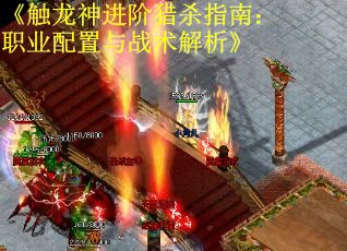 《触龙神进阶猎杀指南：职业配置与战术解析》