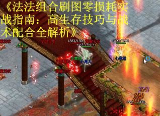 《法法组合刷图零损耗实战指南：高生存技巧与战术配合全解析》