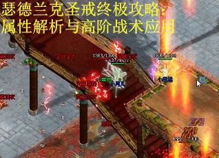 瑟德兰克圣戒终极攻略：属性解析与高阶战术应用