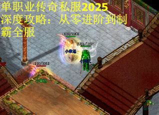单职业传奇私服2025深度攻略：从零进阶到制霸全服