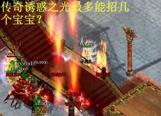 传奇诱惑之光最多能招几个宝宝？