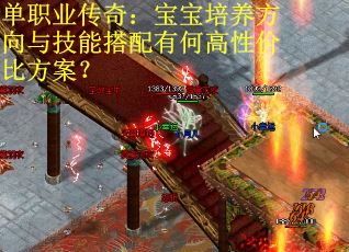 单职业传奇：宝宝培养方向与技能搭配有何高性价比方案？