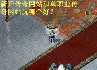 新开传奇网站和单职业传奇网站玩哪个好？