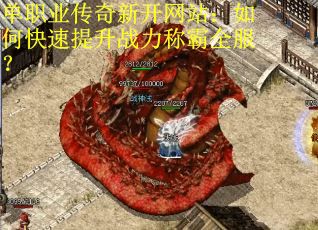 单职业传奇新开网站：如何快速提升战力称霸全服？