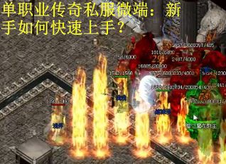 单职业传奇私服微端：新手如何快速上手？