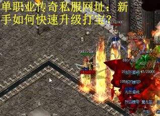 单职业传奇私服网址：新手如何快速升级打宝？