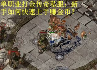 单职业打金传奇私服：新手如何快速上手赚金币？