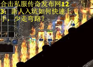 合击私服传奇发布网123：新人入坑如何快速上手，少走弯路？