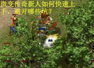 微变传奇新人如何快速上手，避开哪些坑？