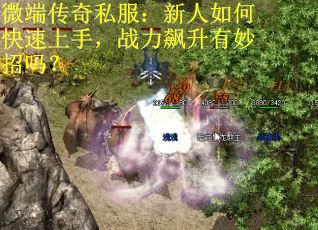 微端传奇私服：新人如何快速上手，战力飙升有妙招吗？