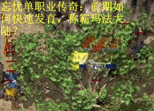 忘忧单职业传奇：前期如何快速发育，称霸玛法大陆？