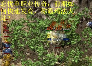 忘忧单职业传奇：前期如何快速发育，称霸玛法大陆？
