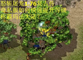 怒斩屠龙1.76复古传奇私服如何快速提升等级称霸玛法大陆？