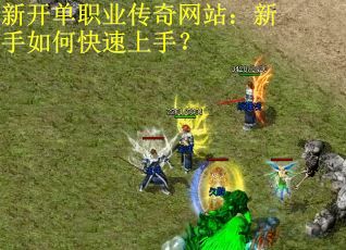 新开单职业传奇网站：新手如何快速上手？