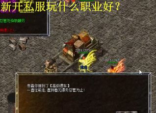 新开私服玩什么职业好？