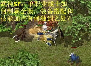 武神SF：单职业战士如何制霸全服，装备搭配和技能加点有何独到之处？