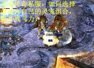 灵宠传奇私服：如何选择最适合自己的灵宠组合，提升战斗力？