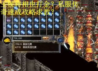 王侯将相也打金？私服传奇速成攻略求教？